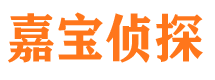 澧县市私家侦探